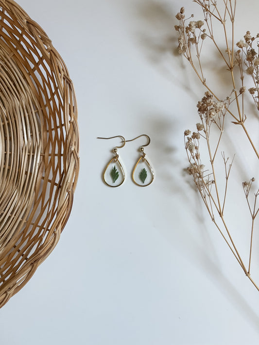 Pressed Fern Teardrops