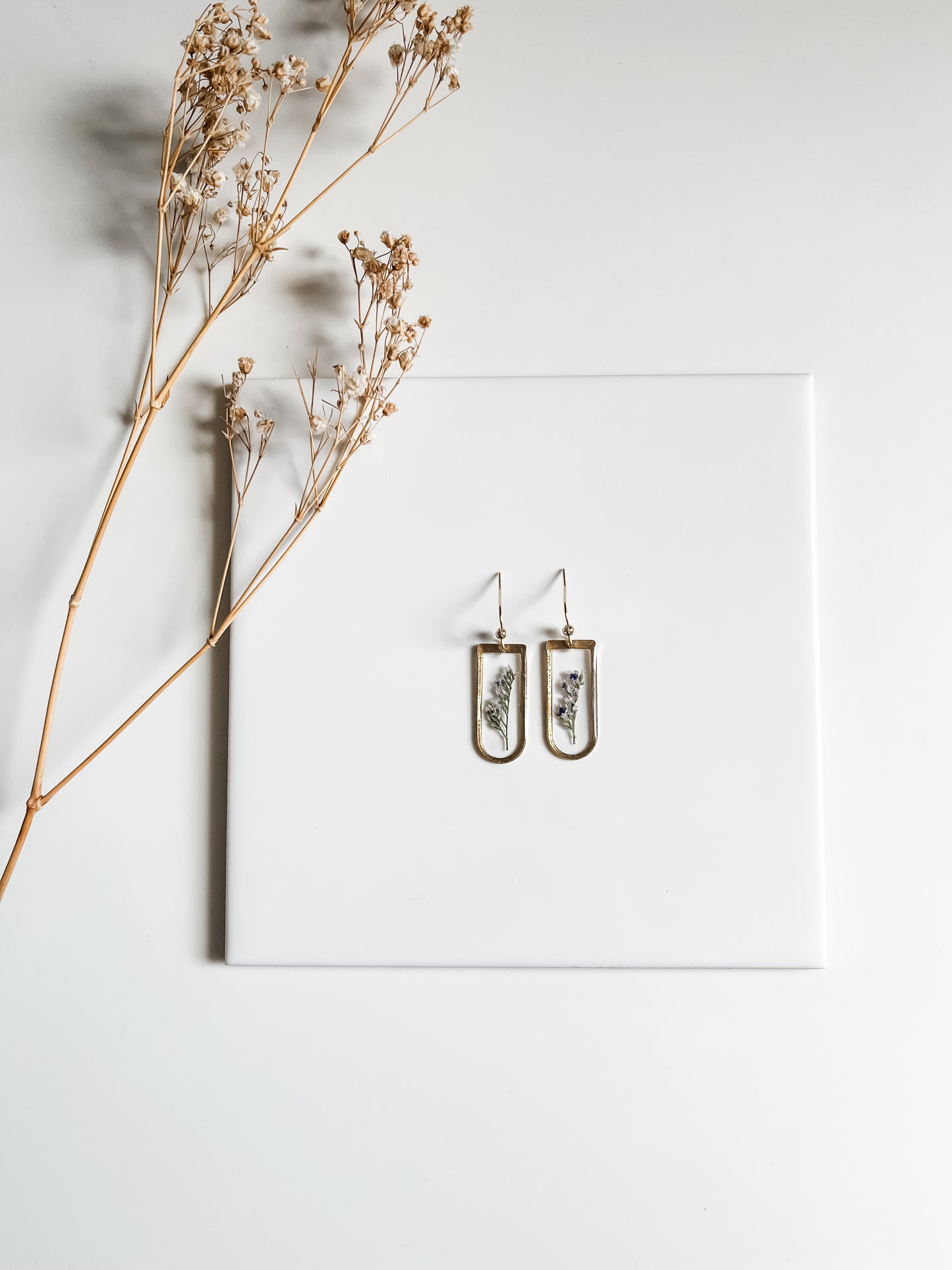 Pressed Limonium Arches