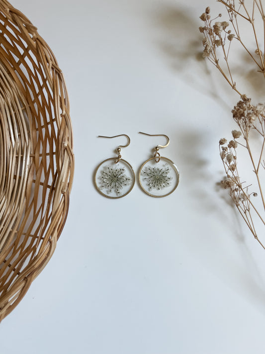 Queen Anne’s Lace Circles