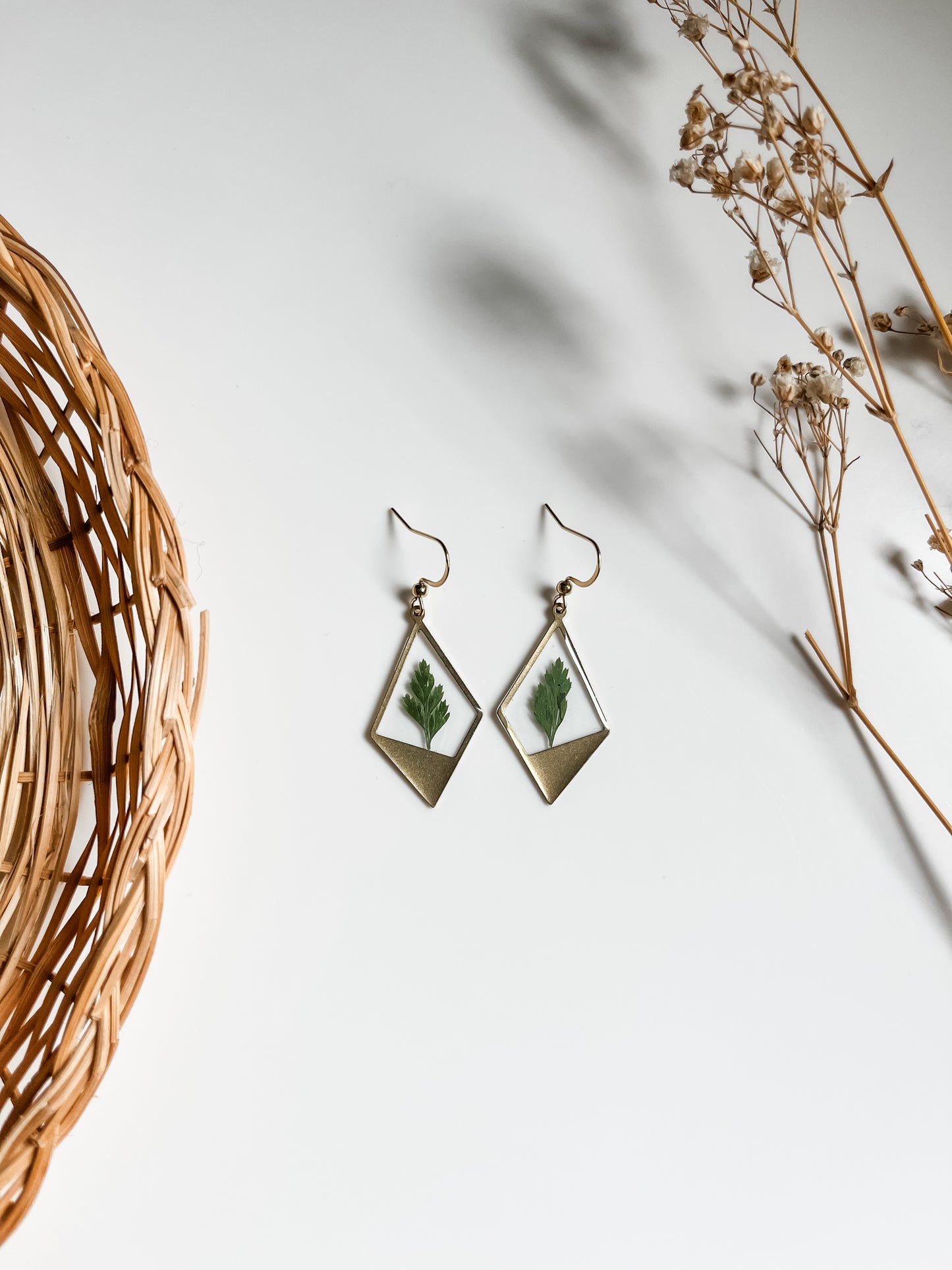 Ferns in Rhombus