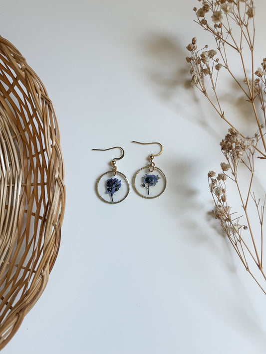 Forget Me Not Circles